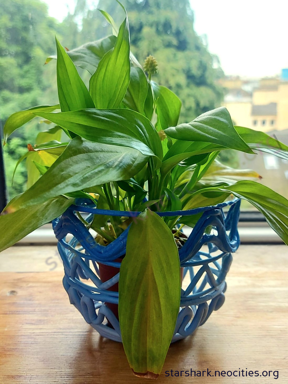 a blue plant pot made by the plastic pottery tecchnique. It holds a plant.